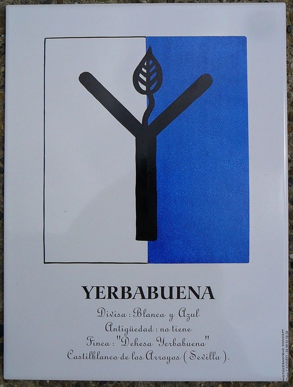 Grand Carreau Yerbabuena