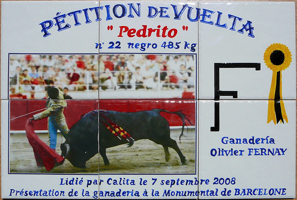 azulejo commemoratif vuelta de pedrito toro de fernay