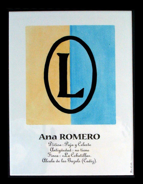 Grand Carreau Ana Romero