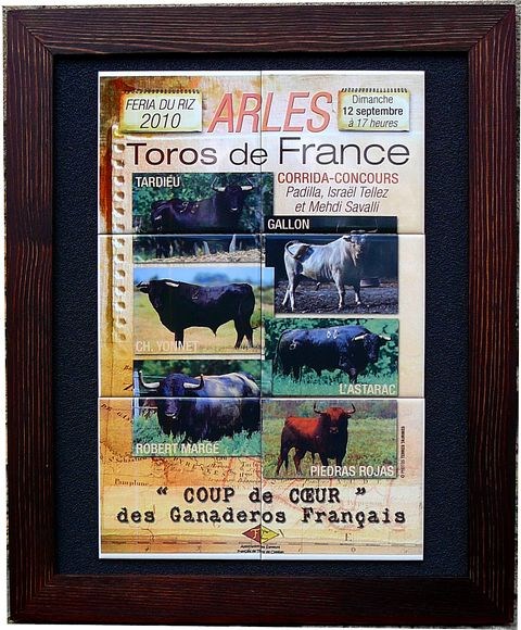 trophee toros de France - ganaderos français
