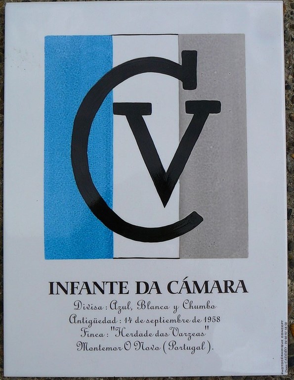 Grand Carreau Infante Da Camara