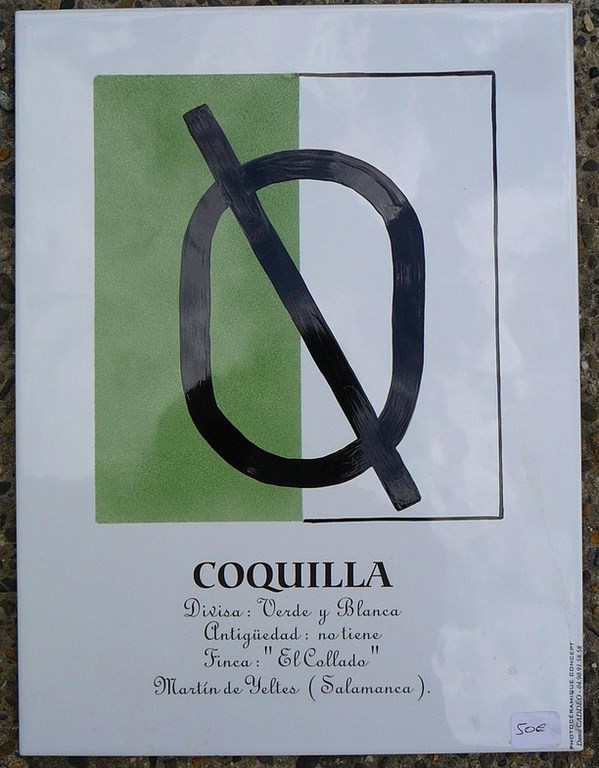 Grand Carreau  Coquilla