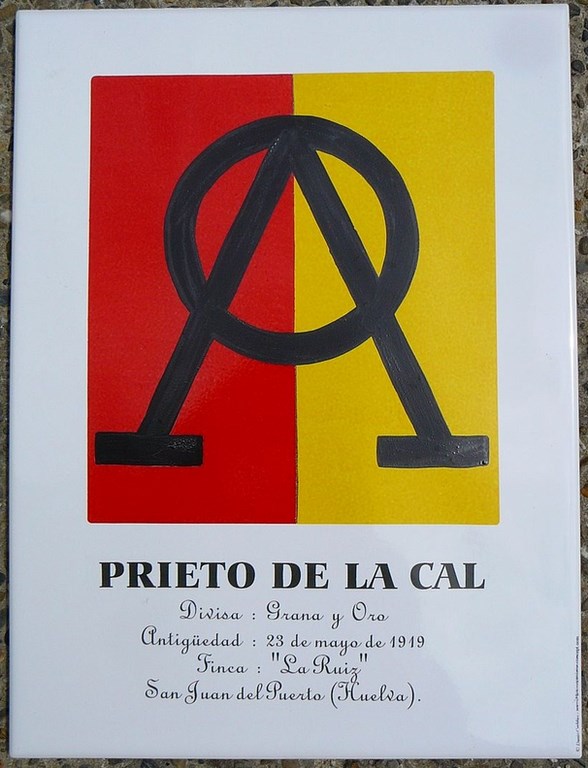 Grand Carreau Prieto de la Cal